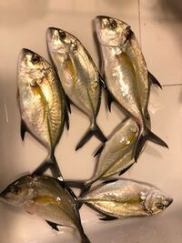 Chie Pctr C Yimg Jp Dk Iwiz Chie Que