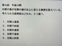 視能訓練士のこの国家試験問題の解説をお願いしたいです。視能学、視