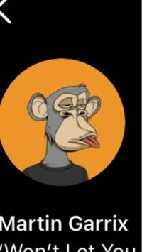 最近インスタで海外の有名人が猿のような顔をアイコンにしていますがなぜですか Yahoo 知恵袋