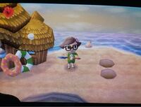 とび森の南の島のヤシの木の配置は下の写真のどちらが正解ですか Yahoo 知恵袋