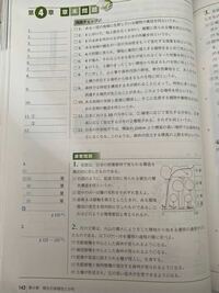 源氏物語廃院の怪の現代語訳 教えてください 宵を過ぎた頃 少しまどろ Yahoo 知恵袋