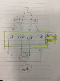 中学理科 生物についてです 生物が有性生殖をしたら 減数分裂すると思う Yahoo 知恵袋