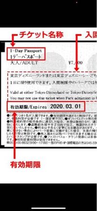 ディズニーのパークチケットで 株主用パスポート スポンサーパスポート 再 Yahoo 知恵袋