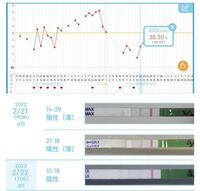 海外製のwondfoという排卵検査薬についてです 今周期からwondf Yahoo 知恵袋