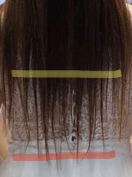 ヘアドネーションをしようと思って髪を伸ばしています。 と、いうよりも髪が伸びたので ヘアドネーションできるならバッサリ切ろうかな〜と… 最初からドネーションのつもりでいなかったので 量の多い髪を調節するのにすごくすいてしまっています。 後ろ髪が画像のように長さがバラバラです。 このような場合、31センチ以上の長さの基準として、 黄色線のところを基準として測るか 赤線の毛先で測っていいのか、 どちらでしょう…？ この画像は数ヶ月前なので そろそろ扱いきれなくなってきてしまったため 31センチ以上に達しているようなら 傷みすぎる前に切ってしまいたいです…。 もしくは、黄色線のところを基準とするなら 黄色線のあたりで切って そろった状態でドネーションをしたほうがいいですかね？ けどそれも伸ばした分寄付しないのはもったいないかなあ〜〜と。悩みます。 有識者の方、回答よろしくお願いいたします。
