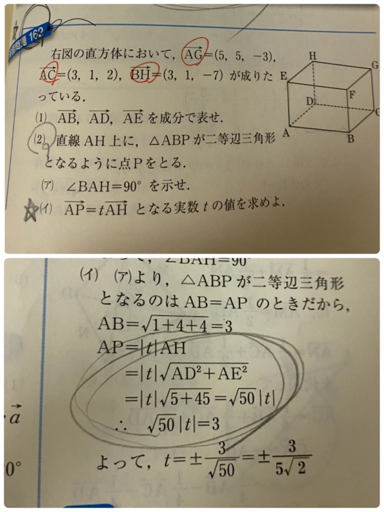grace.＆co様 基礎学過去問 日本大学付属高等学校等 基礎学力到達度テスト 問題と詳解 高2