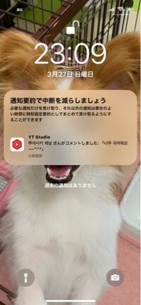 この画面の消し方を教えて下さい。 設定で通知要約はオフにしているのですが消えません。