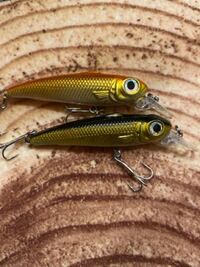 このルアーでは何を狙えますか 5センチくらいの大きさです 見 Yahoo 知恵袋