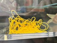 アメフラシが変な触手みたいのを出してましたが気づいたら身体から離れ Yahoo 知恵袋