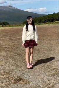 太っていますか 身長163センチ 体重53キロです 目標は4 Yahoo 知恵袋