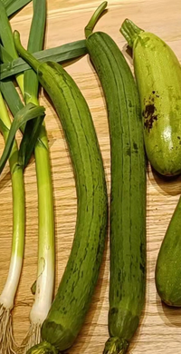 クリスマスローズの種の保存の仕方を教えて下さい クリスマス Yahoo 知恵袋