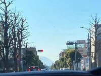 下の写真をlineのアイコンにしたいのですが 背景って何が良いと思 Yahoo 知恵袋
