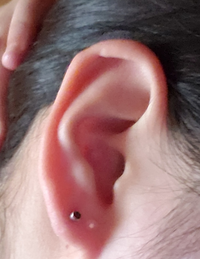 ピアスについて軟骨用14gのピアッサーでトラガスを開けようかと思っています開 Yahoo 知恵袋