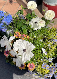 お花屋さんで見かけたのですが 急ぎの用事があり名前まで見れず 写真の白い花 Yahoo 知恵袋