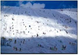月山春スキー場関係者の方へお聞きします。 春スキー場にはリフトが１台しかなく、その上はTバーリフトになっており、頂上までいけません。 もう１本リフトを追加し、頂上まで行けるようにしてください。 い