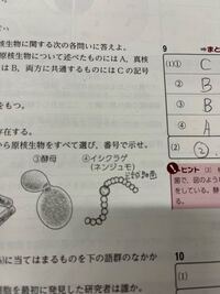 ゾウリムシとオオカナダモ は 原核生物ですか Yahoo 知恵袋