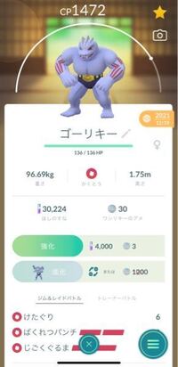 ポケモンgoのめざめるパワーについて ポケモンgoでポリゴン2がめざめる Yahoo 知恵袋