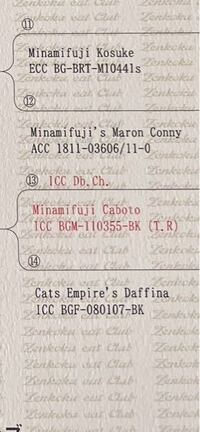 猫ちゃんの血統書です この赤文字はどうゆう意味でしょうか Yahoo 知恵袋