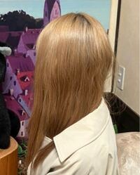 飲食店でバイトをしている者です 髪色を変えたくて店長に聞い Yahoo 知恵袋