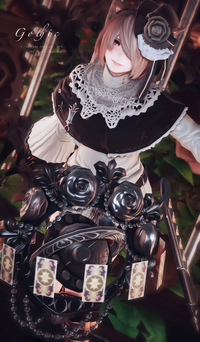 Ff14でミコッテのキャラメイクをしています よくsns上とかで顔の Yahoo 知恵袋