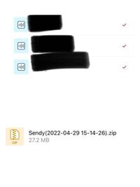 Sendanywhereについて質問です。 - 下の画像のようなファイルだ