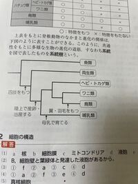 Bw2ジャローダについてジャローダに覚えさせる技 何がいいでしょうか 何 Yahoo 知恵袋