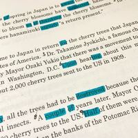 Likeって前置詞なのになぜsvをそのあと取るのですか その場合の Yahoo 知恵袋