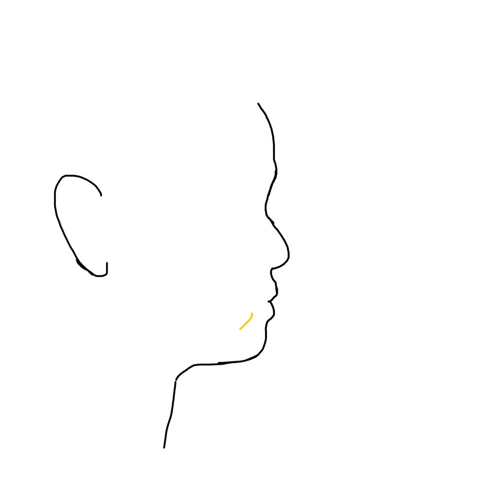 質問が三つあります ①この横顔ってブスですか？ 例）鼻の高さやEラインなど ②昔からBMI的には標準〜痩せの間なのですが頬の肉があり横から見た時画像の黄色の線の所に少し影があり、上が盛り上がって...