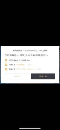 Xsollaで支払いをしたところ Pcの画面にお支払いのご提出の Yahoo 知恵袋