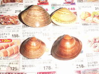 バカ貝はありますか それともすべてはまぐりですか 画像の４つ中から Yahoo 知恵袋