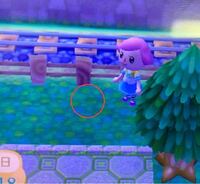 3dsとびだせどうぶつの森について 低木について教えてください Yahoo 知恵袋