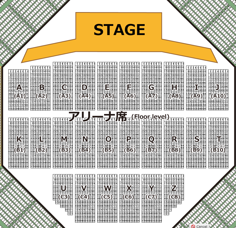 サンタナ 武道館 アリーナ席 ３月１２日 - コンサート