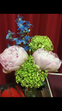 このピンク 黄緑 青の花の名前を教えてください お花屋さんに聞くの Yahoo 知恵袋