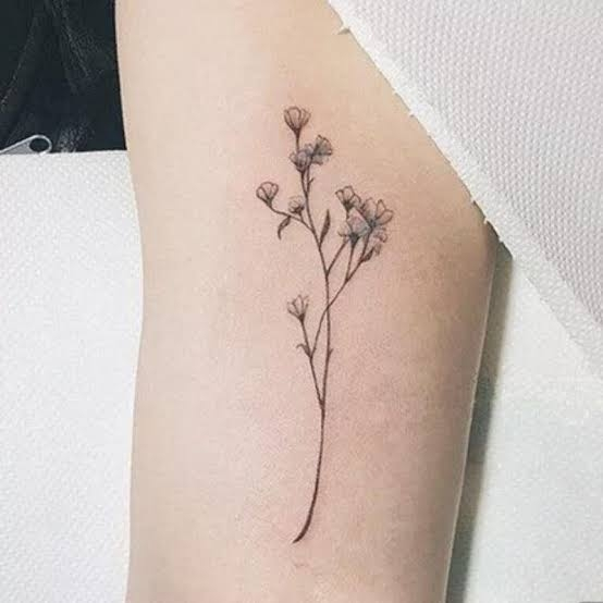 このタトゥーのこのような花の名前ってなんですか Yahoo 知恵袋