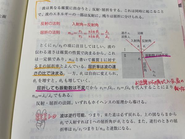 中三理科 生物の増え方で次の問題の答えを教えてください 被子植 Yahoo 知恵袋