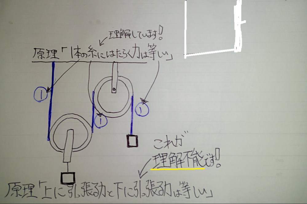 物理の滑車問題 の原理である 上向きの力 下向きの力 が どの場所を言い Yahoo 知恵袋