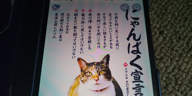 猫がタイトル もしくは歌詞にでてくる歌で思い浮かぶ曲教えてください Yahoo 知恵袋