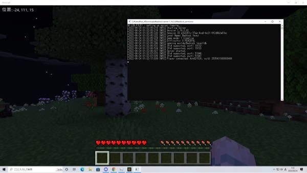 マイクラ統合版 Bedrockのサーバーについて サーバーを作成 参加は Yahoo 知恵袋