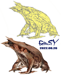 おはようごじゃいマシュッマロ アクアリウムカテのみなシャン ボクは小学生で Yahoo 知恵袋