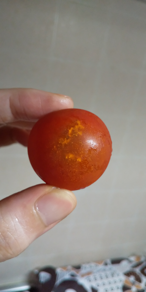 トマトを栽培してるのですがしろいものがありました。結構ありのですが、これは病気ですか？原因はなにですか？