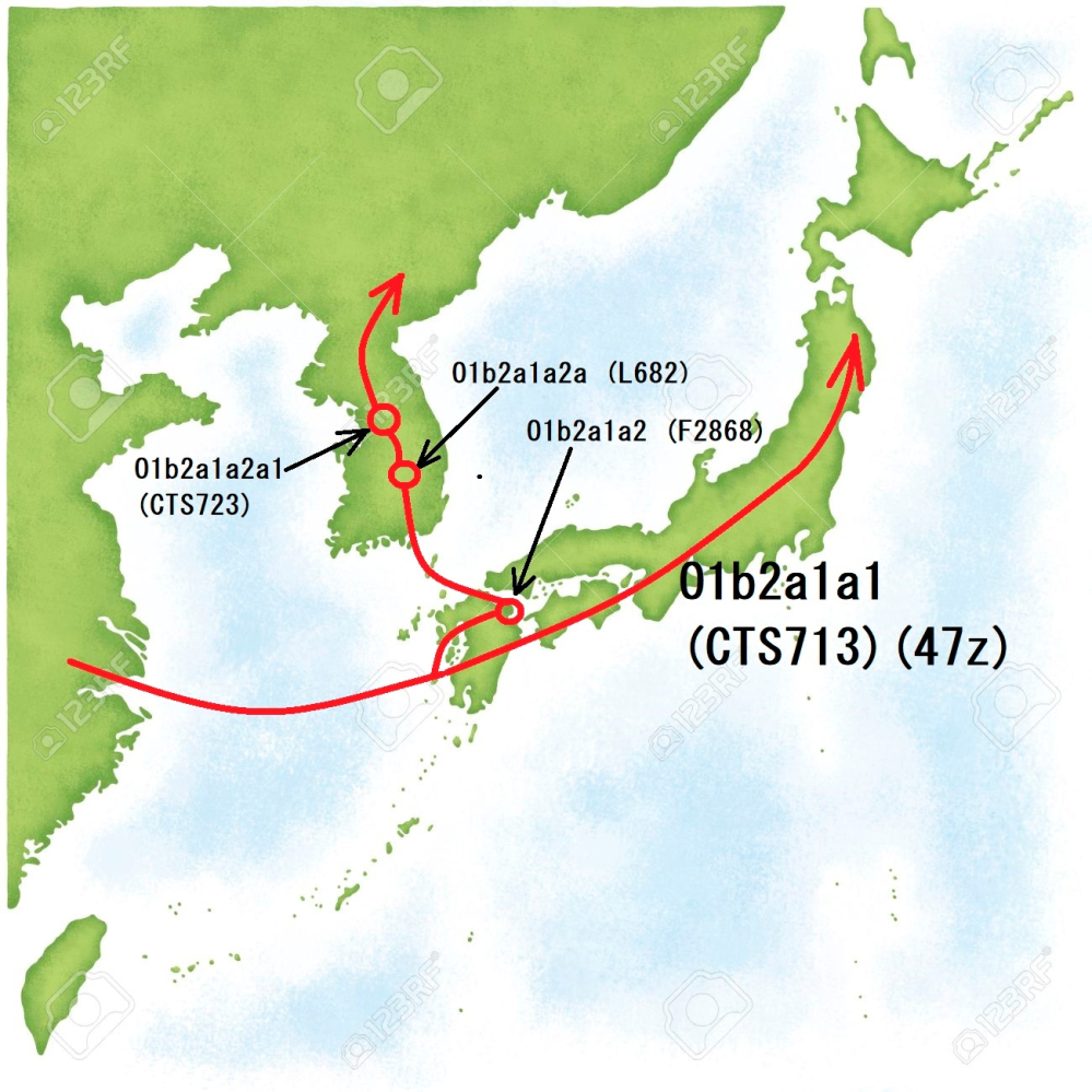 もし「渡来人」が「朝鮮半島→日本列島」ルートで来たならば、「Ｙ染色体ハプログループマーカ」ではっきりと示せるはずです。 . しかし、「Ｙ染色体ハプログループマーカ」で人類集団の移動経路をみた場合...