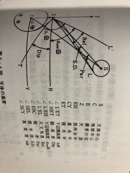 天体の略号で分からない所があるのですが、画像のLは日本語だと何になるんですか…？