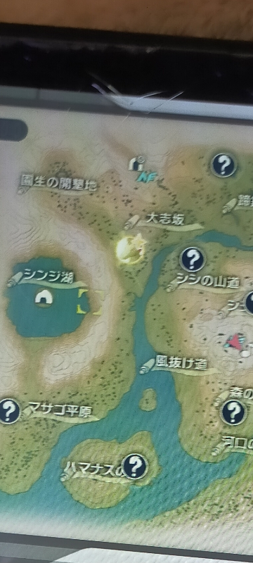 ポケモンアルセウス 大大大量発生のこのマークの中の右上にある星のマ Yahoo 知恵袋