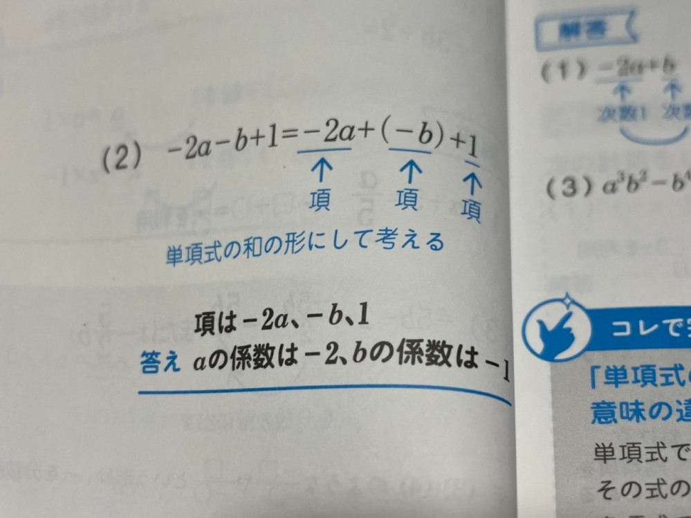 単項式 多項式 次数について 2a B 1 2a B 1ではなぜ Yahoo 知恵袋