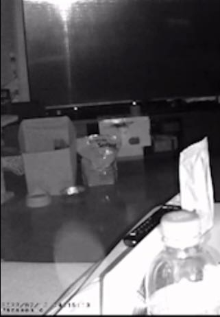 こんばんは。家にペット用でカメラを付けたのですが、オーブが写って 