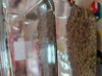 メダカの飼い方について メダカを飼う水槽は 浅い方がいい という Yahoo 知恵袋