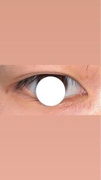 ワンピースにでてくる 敵側がつけているでんでんむしの電話 あの着信音が Yahoo 知恵袋