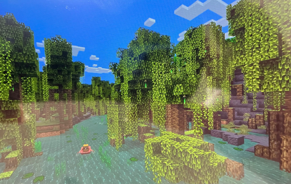 マイクラスイッチでこの画面から進みません どうしたらいいですか Yahoo 知恵袋