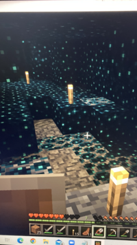 マイクラについての質問です 画像の水色のこれはなんですか ハサミで取 Yahoo 知恵袋