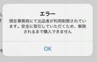 メルカリでお値下げ交渉後、購入手続きへを押すと - 「エラー現在事